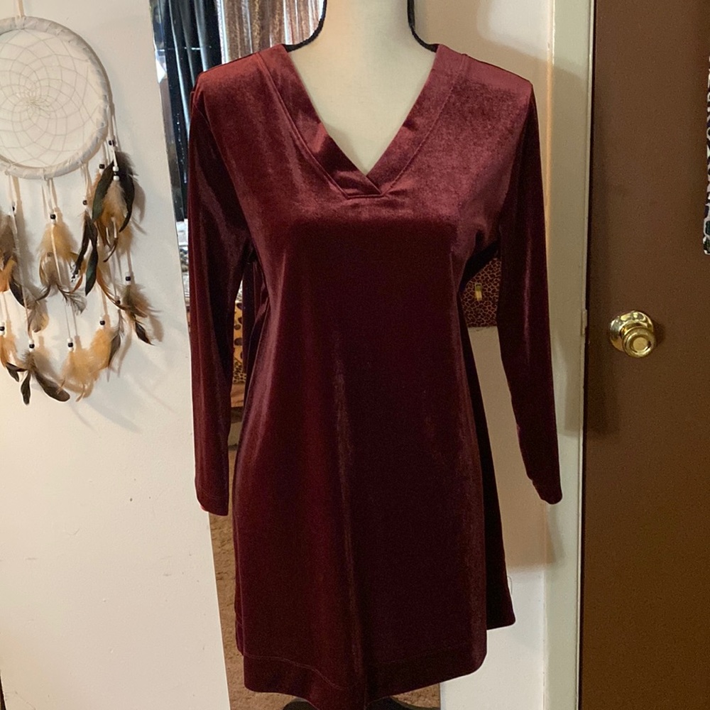 🌸🌸Lands’ end long sleeve velvety v neck tunic top
